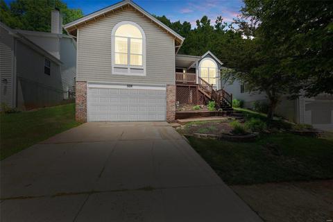 559 Elm Crossing Ct, Ballwin, MO 63021 photo 1