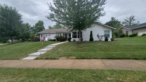 439 Brass Lamp Dr, Ballwin, MO 63011 photo 52