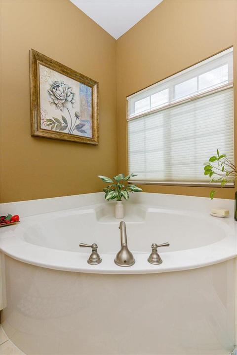 1009 Castleview Ct, Saint Charles, MO 63304 photo 45