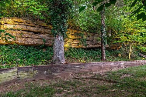 634 Carman Forest Ln, Ballwin, MO 63021 photo 50