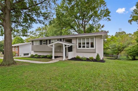 817 Parkfield Ter, Manchester, MO 63021 photo 1