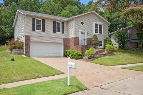 16 Rainfield Ct, Ballwin, MO 63021 photo 29