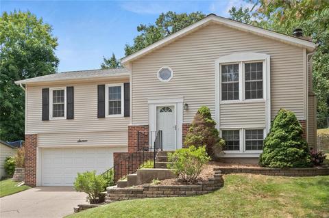 16 Rainfield Ct, Ballwin, MO 63021 photo 1