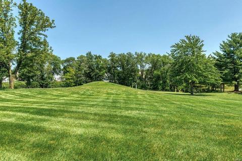 1226 Grey Fox Run, Weldon Spring, MO 63304 photo 9