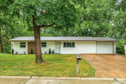 316 Spring Meadows Dr, Manchester, MO 63011 photo 1