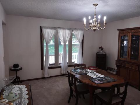3 Forest Acres Ct, O'fallon, MO 63366 photo 13