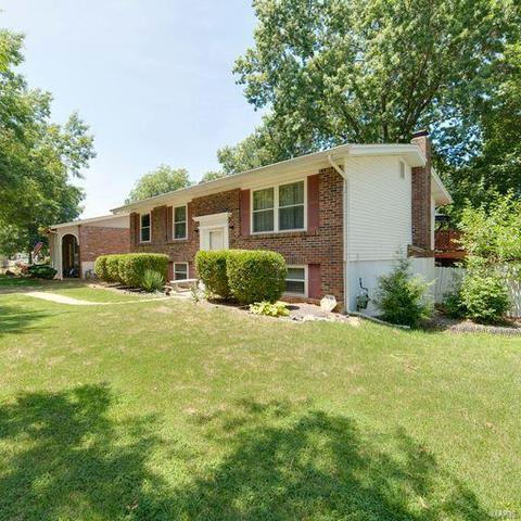 617 Burwick Ter, Manchester, MO 63021 photo 3