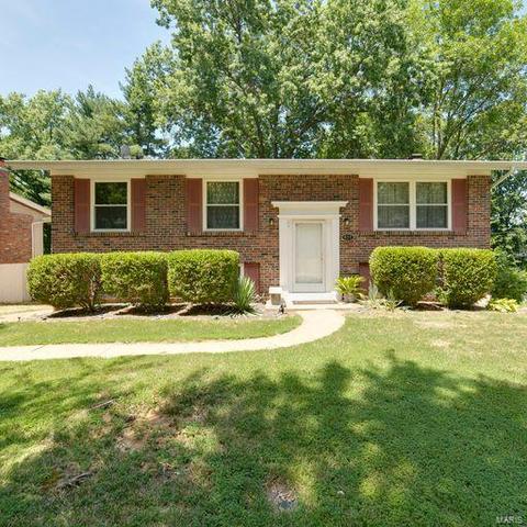 617 Burwick Ter, Manchester, MO 63021 photo 38