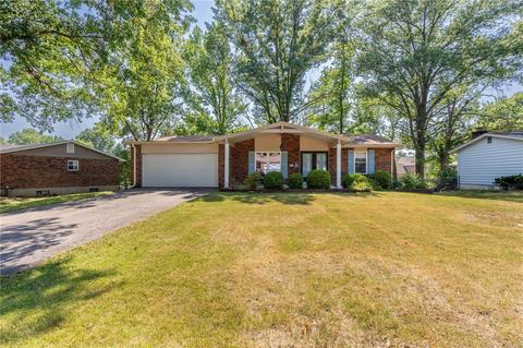311 Sunrise Blvd, Ballwin, MO 63021 photo 39