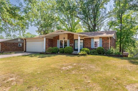 311 Sunrise Blvd, Ballwin, MO 63021 photo 37