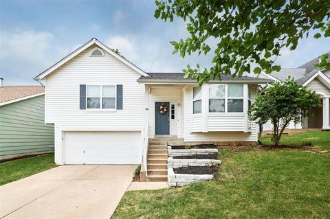 166 Autumn Chase Dr, O'fallon, MO 63366 photo 1