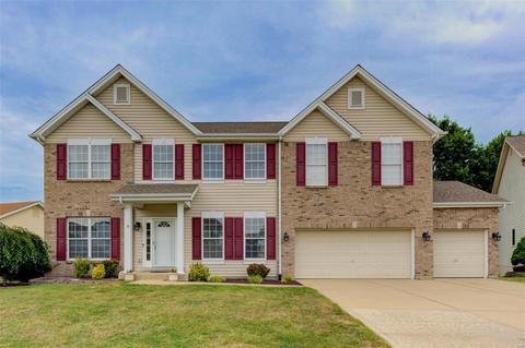 24 Fallon Pass, O'fallon, MO 63366 photo 1