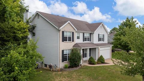 1021 Franko Dr, O'fallon, MO 63366 photo 58