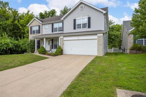 1021 Franko Dr, O'fallon, MO 63366 photo 50