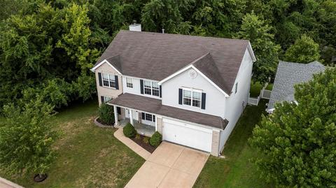 1021 Franko Dr, O'fallon, MO 63366 photo 53
