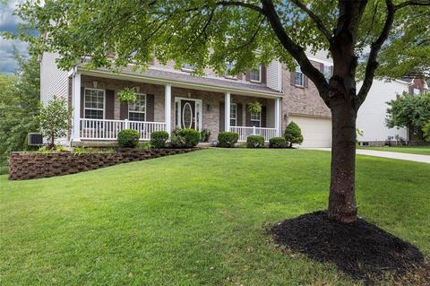 1012 Red Orchard Trl, O'fallon, MO 63368 photo 50