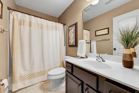 168 Point Lansing Cir, Ballwin, MO 63021 photo 48