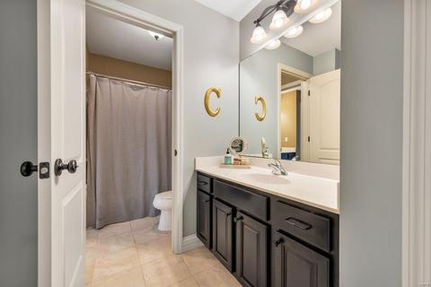168 Point Lansing Cir, Ballwin, MO 63021 photo 42