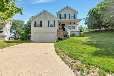 16401 Baja Ct, Wildwood, MO 63011 photo 32