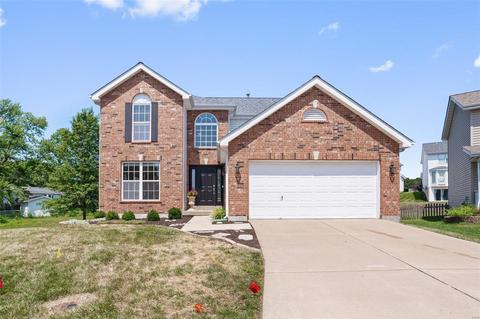 19 Alviston Ct, O'fallon, MO 63366 photo 2