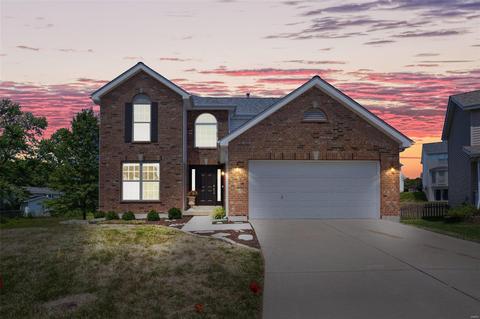 19 Alviston Ct, O'fallon, MO 63366 photo 1