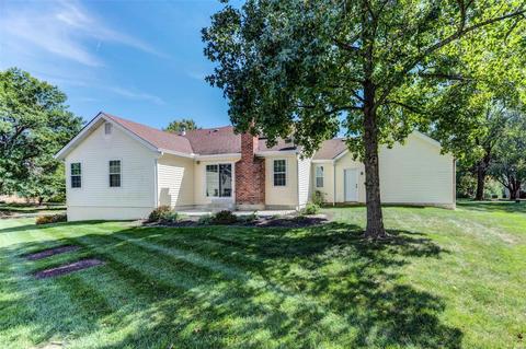 705 Fox Briar Ln, Ballwin, MO 63021 photo 21