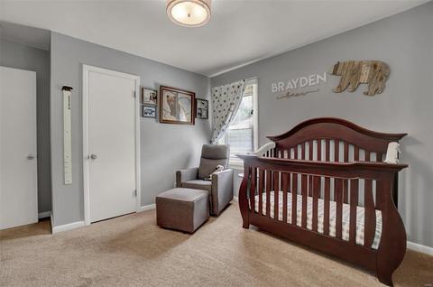 116 Ivy Ct, Ballwin, MO 63011 photo 22