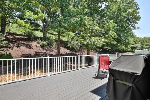 712 Turtle Cv, Ballwin, MO 63011 photo 22