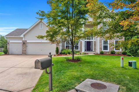 9 Palisades View Ct, Eureka, MO 63025 photo 45