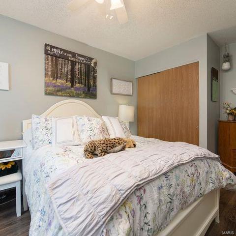 261 Carmel Woods Dr, Ellisville, MO 63021 photo 19