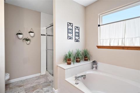4 Forest Glen Ct, O'fallon, MO 63368 photo 26