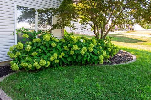 122 Chantry Dr, O'fallon, MO 63366 photo 91