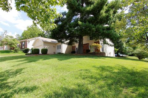 102 Caravel Ct, Ballwin, MO 63021 photo 46