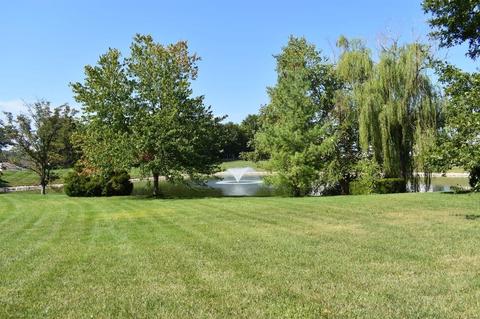 171 Mccluer Dr, O'fallon, MO 63368 photo 20