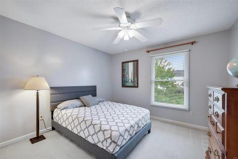 171 Mccluer Dr, O'fallon, MO 63368 photo 37