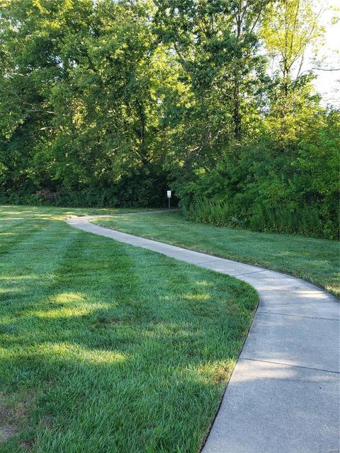 171 Mccluer Dr, O'fallon, MO 63368 photo 58