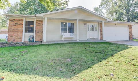 1122 Cypress Dr, O'fallon, MO 63366 photo 36