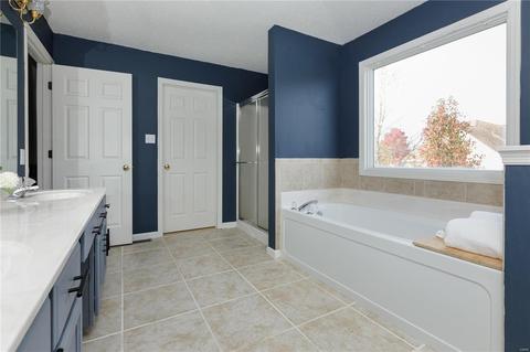 13 Dunleith Ct, O'fallon, MO 63366 photo 25