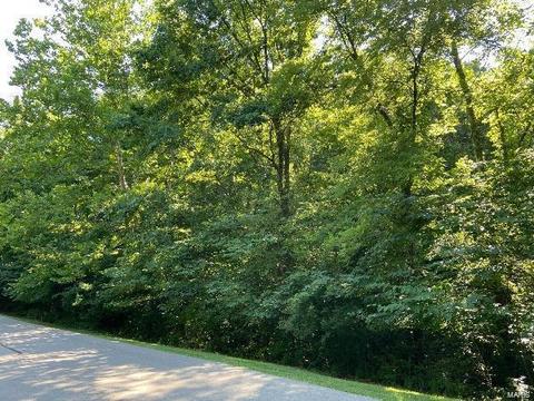 19261 Saint Albans Forest Ln, Wildwood, MO 63038