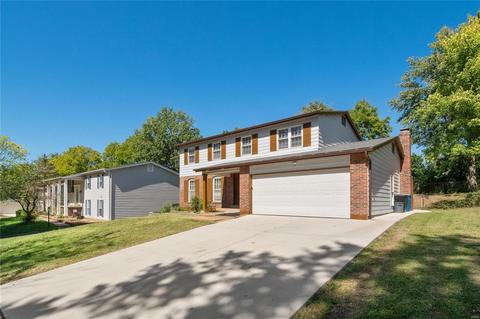 1153 Great Falls Ct, Manchester, MO 63021 photo 41