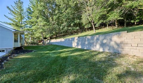 729 Mcbride Pointe Dr, Wildwood, MO 63011 photo 63