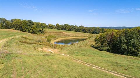 6041 Augusta Bottom Rd, Augusta, MO 63332 photo 20