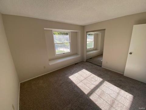 597 Monroe Mill Dr, Ballwin, MO 63011 photo 16