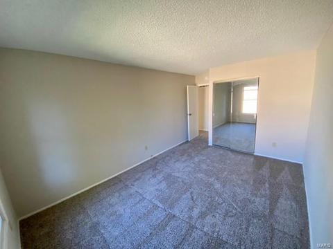 597 Monroe Mill Dr, Ballwin, MO 63011 photo 13