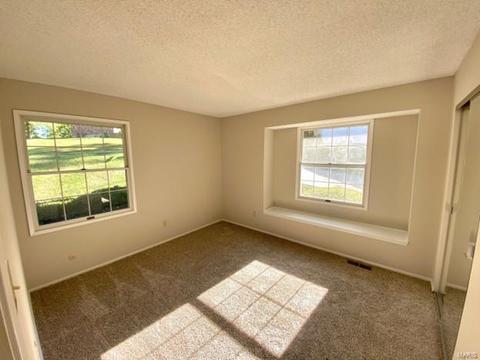 597 Monroe Mill Dr, Ballwin, MO 63011 photo 15