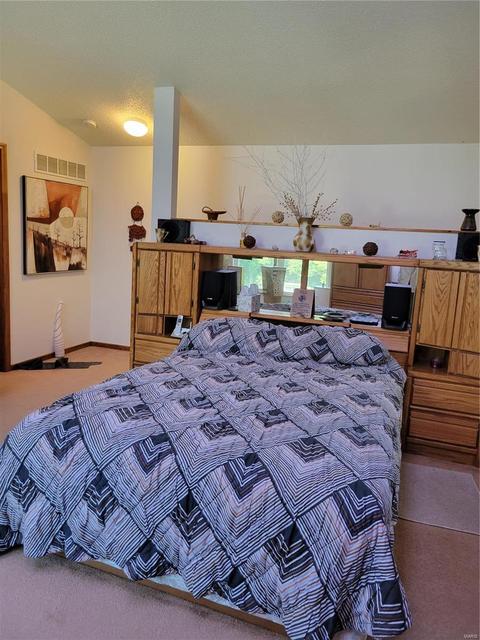715 Lorene Dr, O'fallon, MO 63366 photo 29