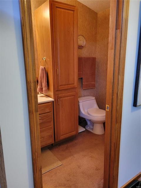 715 Lorene Dr, O'fallon, MO 63366 photo 27