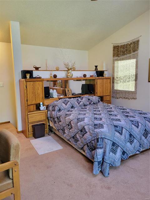 715 Lorene Dr, O'fallon, MO 63366 photo 30