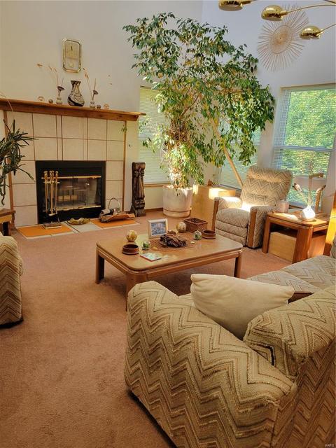 715 Lorene Dr, O'fallon, MO 63366 photo 7