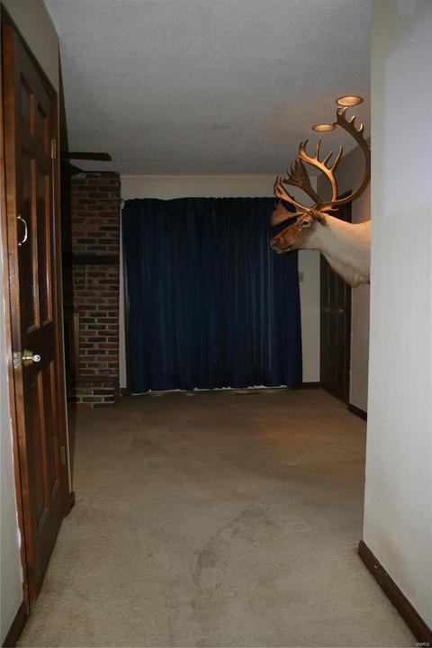519 Forest Run Dr, Eureka, MO 63025 photo 11